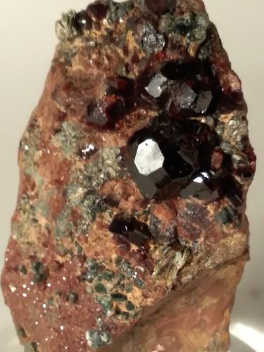 Grossular (variety hessonite), Clinochlore<br />Faiallo Pass, Urbe, Savona Province, Liguria, Italy<br />78 x 48 mm<br /> (Author: Sante Celiberti)