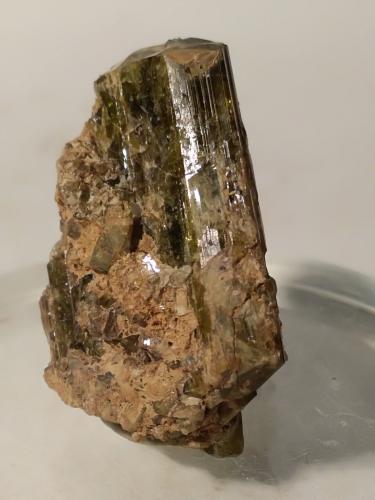 Epidote<br />Bellecombe, Châtillon, Aosta Valley (Val d'Aosta), Italy<br />36,7 x 23,6 mm<br /> (Author: Sante Celiberti)