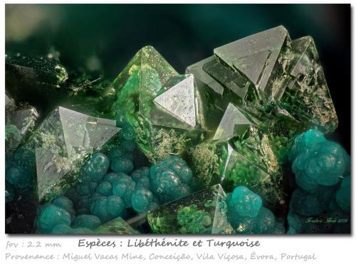 Libethenite and Turquoise<br />Mina Miguel Vacas, Freguesías Pardais y Conceição, Vila Viçosa, Distrito Évora, Província Alentejo Central, Región Alentejo, Portugal<br />fov 2.2 mm<br /> (Author: ploum)