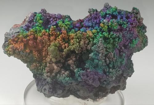 Goethite (variety turgite)<br />Montes Graves, Condado Lincoln, Georgia, USA<br />8.3 cms x 5.6 cms<br /> (Author: kushmeja)