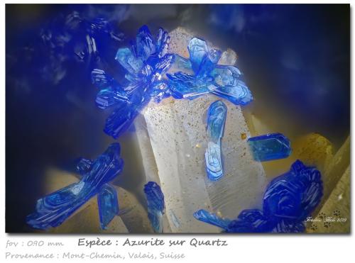 Azurite on Quartz<br />Mont Chemin, Martigny, Wallis (Valais), Switzerland<br />fov 0.90 mm<br /> (Author: ploum)