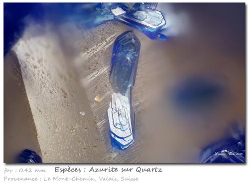 Azurite on Quartz<br />Mont Chemin, Martigny, Wallis (Valais), Switzerland<br />fov 0.42 mm<br /> (Author: ploum)