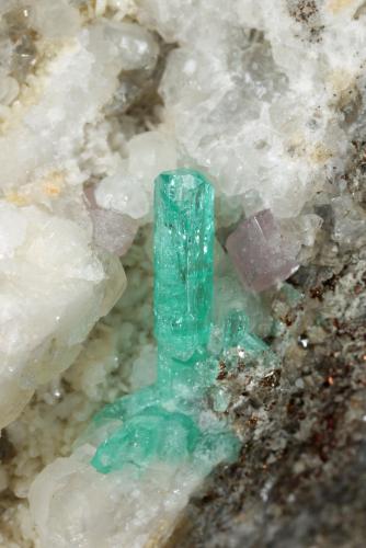 Beryl (variety emerald), Pyrite, Calcite, Fluorapatite, Albite (variety cleavelandite)<br />Chivor mining district, Municipio Chivor, Eastern Emerald Belt, Boyacá Department, Colombia<br />148mm x 87mm x 80mm, xl=15mm<br /> (Author: Fiebre Verde)