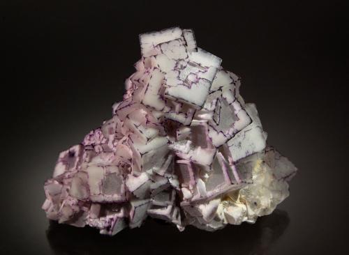 Fluorite<br />Qinglong Mine, Dachang, Qinglong, Qianxi'nan Autonomous Prefecture, Guizhou Province, China<br />7.5 cm x 9.5 cm<br /> (Author: Michael Shaw)