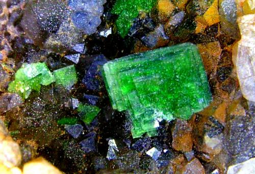 Torbernita<br />Trapero Mine, Cardeña, Comarca Los Pedroches, Córdoba, Andalusia, Spain<br />Campo de visión 10 mm.<br /> (Autor: Antonio P. López)