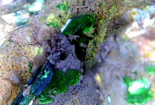 Torbernita y óxidos de manganeso<br />Trapero Mine, Cardeña, Comarca Los Pedroches, Córdoba, Andalusia, Spain<br />Campo de visión 5 mm.<br /> (Autor: Antonio P. López)