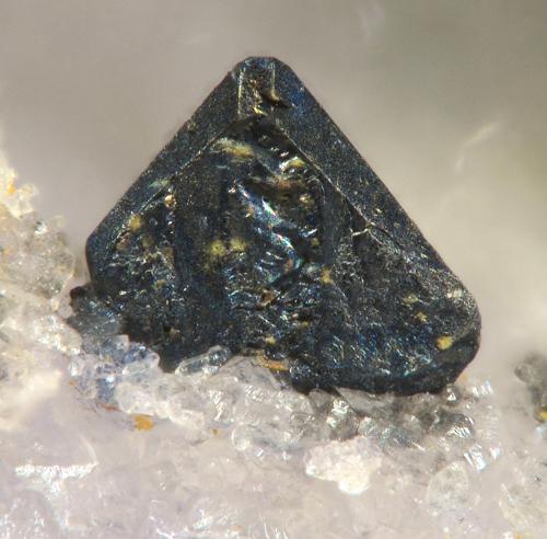 Cechita<br />Magdalena Mine (Santiago Mine), Lo Fangar (Els Solans) / La Font del Metge, Ulldemolins, Comarca Priorat, Tarragona, Catalonia / Catalunya, Spain<br />fov 1.4 mm<br /> (Autor: Rewitzer Christian)