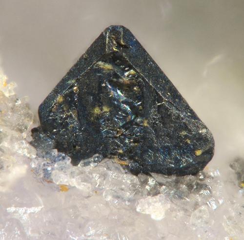 Cechita<br />Magdalena Mine (Santiago Mine), Lo Fangar (Els Solans) / La Font del Metge, Ulldemolins, Comarca Priorat, Tarragona, Catalonia / Catalunya, Spain<br />fov 1.4 mm<br /> (Autor: Rewitzer Christian)