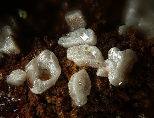 Cotunnita<br />La Ferruginosa Mine, Cabezo de la Escucha, Cartagena, Comarca Campo de Cartagena, Region of Murcia (Murcia), Spain<br />fov 2.6 mm<br /> (Autor: Rewitzer Christian)