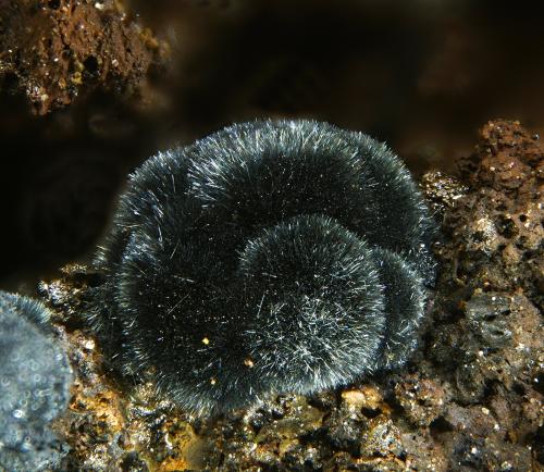 Coronadita<br />La Ferruginosa Mine, Cabezo de la Escucha, Cartagena, Comarca Campo de Cartagena, Region of Murcia (Murcia), Spain<br />fov 2.1 mm<br /> (Autor: Rewitzer Christian)