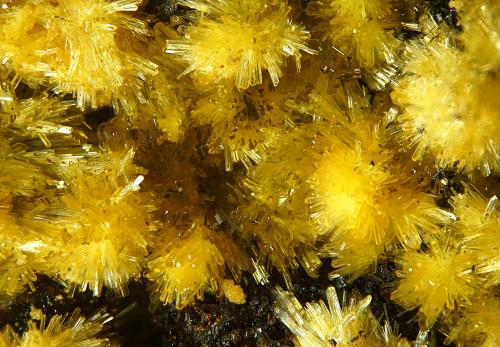 Sideronatrita<br />La Ferruginosa Mine, Cabezo de la Escucha, Cartagena, Comarca Campo de Cartagena, Region of Murcia (Murcia), Spain<br />fov 3.2 mm<br /> (Autor: Rewitzer Christian)