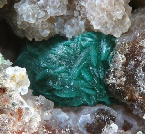 Pseudomalaquita<br />San Guillermo Mine, El Guijo, Comarca Los Pedroches, Córdoba, Andalusia, Spain<br />fov 1.5 mm<br /> (Autor: Rewitzer Christian)