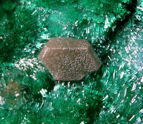 Chlorargyrite with Malachite<br />Felisa Mine, Alhamilla Mountains, Rioja, Comarca Metropolitana de Almería, Almería, Andalusia, Spain<br />fov 1.5 mm<br /> (Author: Rewitzer Christian)