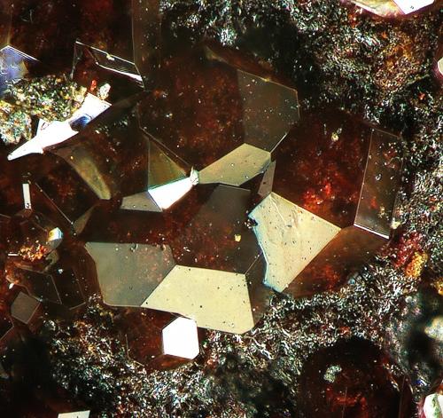 Caracolite<br />La Ferruginosa Mine, Cabezo de la Escucha, Cartagena, Comarca Campo de Cartagena, Region of Murcia (Murcia), Spain<br />fov 1 mm<br /> (Author: Rewitzer Christian)