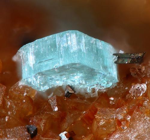 Bottinoite<br />Nueva Virginia Mine, Royo ravine, Lanzuela, Comarca Jiloca, Teruel, Aragon, Spain<br />fov 1.2 mm<br /> (Author: Rewitzer Christian)