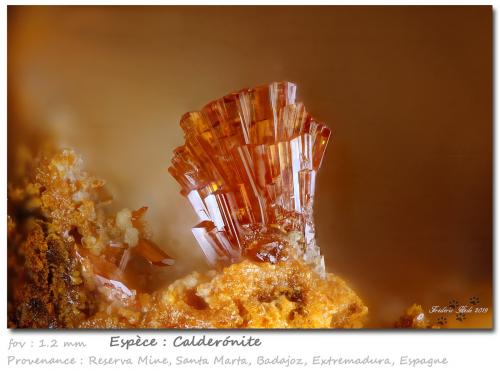 Calderónite<br />Reserva Mine, Santa Marta, Comarca Tierra de Barros, Badajoz, Extremadura, Spain<br />fov 1.2 mm<br /> (Author: ploum)