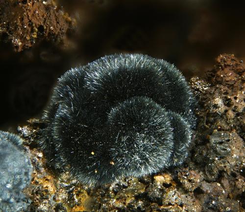 Coronadite<br />Mina La Ferruginosa, Cabezo de la Escucha, Cartagena, Comarca Campo de Cartagena, Región de Murcia (Murcia), España<br />fov 2.1 mm<br /> (Author: Rewitzer Christian)