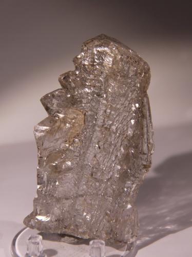 Quartz<br />Skardu District, Gilgit-Baltistan (Northern Areas), Pakistan<br />51mm x 83mm x 15mm<br /> (Author: Firmo Espinar)