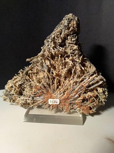 Stibnita (Estibina), Yeso<br />Torre Carige, Capalbio, Provincia Grosseto, Toscana, Italia<br />156 x 124 mm<br /> (Autor: Sante Celiberti)