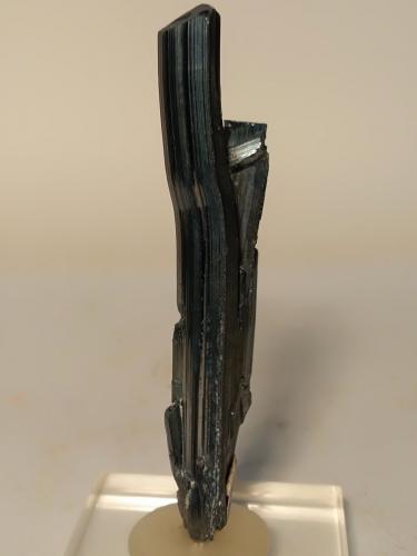Stibnita (Estibina)<br />Mina Ichinokawa, Saijo, Prefectura Ehime, Isla Shikoku, Japón<br />73 x 14,4 mm<br /> (Autor: Sante Celiberti)