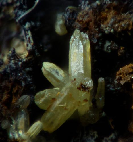 Mimetita<br />Mina Casandra, Ribes de Freser, Vall de Ribes, Comarca Ripollès, Gerona / Girona, Cataluña / Catalunya, España<br />1 mm (cristal mayor)<br /> (Autor: Frederic Varela)