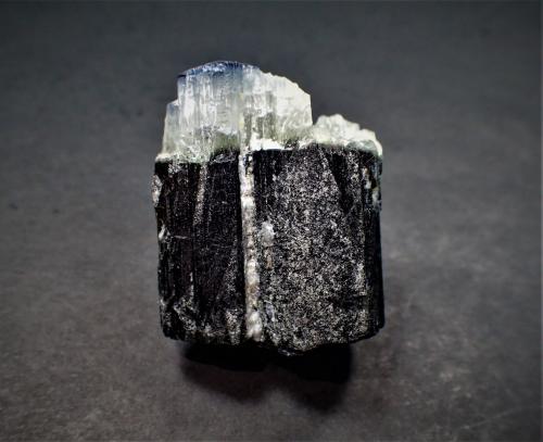 Dravite (Tourmaline Group)<br /><br />35 mm x 29 mm x 20 mm<br /> (Author: Don Lum)