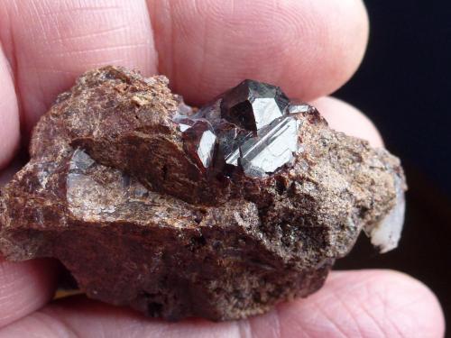 Granate (Grupo)<br />Cala, Comarca Sierra de Huelva, Huelva, Andalusia, Spain<br />6 x 4 cm.<br /> (Autor: javier ruiz martin)
