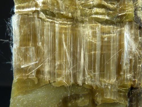 Anfibol (variedad crisotilo)<br />Mine Blue Sky, Wittenoom Gorge, Gama Hamersley, Perth área metropolitana, Región Pilbara, Australia Occidental, Australia<br />10 x 6 x 4 cm.<br /> (Autor: Felipe Abolafia)