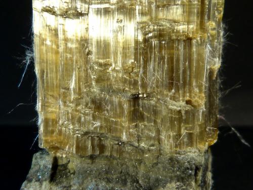 Anfibol (variedad crisotilo)<br />Mine Blue Sky, Wittenoom Gorge, Gama Hamersley, Perth área metropolitana, Región Pilbara, Australia Occidental, Australia<br />10 x 6 x 4 cm.<br /> (Autor: Felipe Abolafia)