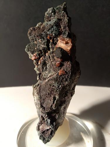 Perovskite, Magnetite<br />Valmalenco, Provincia Sondrio, Lombardía, Italia<br />96 x 50 mm<br /> (Author: Sante Celiberti)