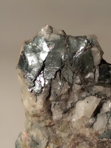 Tungstenite<br />Cantera Crevoladossola, Crevoladossola, Provincia Verbano-Cusio-Ossola, Piamonte (Piemonte), Italia<br />36,5 x 20,5 mm<br /> (Author: Sante Celiberti)