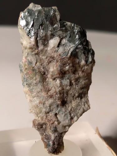 Tungstenite<br />Cantera Crevoladossola, Crevoladossola, Provincia Verbano-Cusio-Ossola, Piamonte (Piemonte), Italia<br />36,5 x 20,5 mm<br /> (Author: Sante Celiberti)
