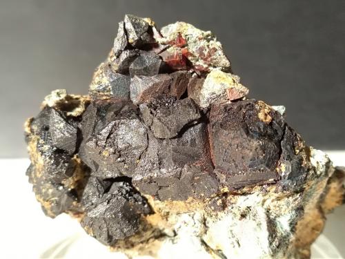 Perovskite, Magnetite<br />Rocca Sella, Almese, Susa Valley, Metropolitan City of Turin Province, Piedmont (Piemonte), Italy<br />58,4 x 47,5 mm<br /> (Author: Sante Celiberti)