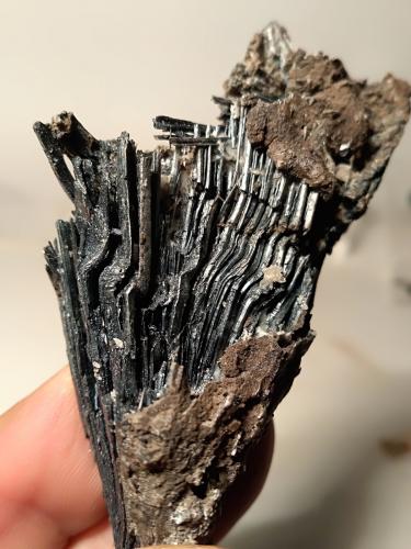 Stibnita (Estibina)<br />Mina Morone (Mina Selvena), Monte Amiata, Castell'Azzara, Provincia Grosseto, Toscana, Italia<br />71,5 x 40 mm<br /> (Autor: Sante Celiberti)