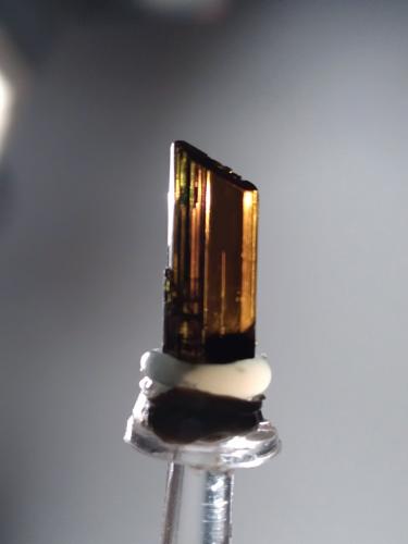 Epidote<br />Lago Falin, Usseglio, Val di Viù / Valle Viù, Valles Lanzo (Valli di Lanzo), Provincia Ciudad metropolitana de Turín, Piamonte (Piemonte), Italia<br />10 x 4 mm<br /> (Author: Sante Celiberti)