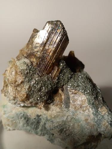 Epidote, Clinochlore<br />Monte Barbeston (Mont Barbeston), Châtillon, Aosta Valley (Val d'Aosta), Italy<br />49 x 48 mm<br /> (Author: Sante Celiberti)