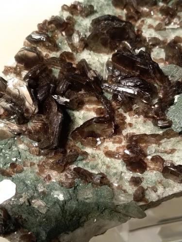 Muscovite, Quartz, Chlorite<br />Beura Quarries, Beura-Cardezza, Ossola Valley, Verbano-Cusio-Ossola Province, Piedmont (Piemonte), Italy<br />121 x 72 mm<br /> (Author: Sante Celiberti)