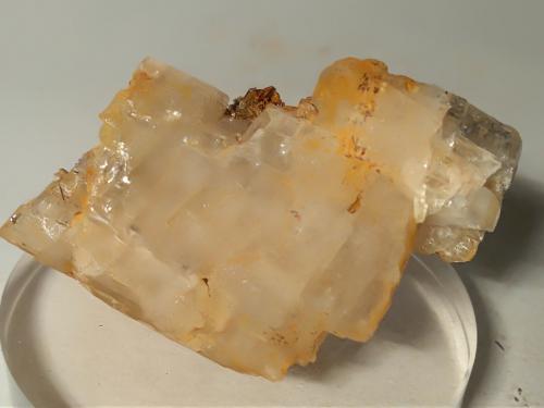 Orthoclase (variety adularia), Muscovite, Rutile<br />Miage Glacier, Veny Valley, Monte Bianco Massif (Mont Blanc Massif), Courmayeur, Aosta Valley (Val d'Aosta), Italy<br />61 x 37 mm<br /> (Author: Sante Celiberti)