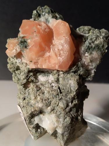 Anorthite<br />Monzoni Mountains, Fassa Valley, Trento Province, Trentino-Alto Adige (Trentino-Südtirol), Italy<br />47 x 39 mm<br /> (Author: Sante Celiberti)