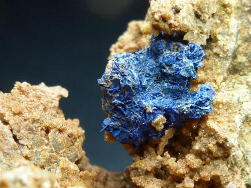 Azurita<br />La Estrella Mine, Pardos, Comarca Señorío de Molina-Alto Tajo, Guadalajara, Castilla-La Mancha, Spain<br />1 cm. la Azurita<br /> (Autor: javier ruiz martin)