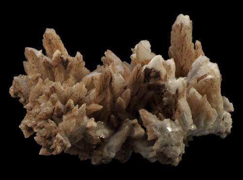 Calcite<br />Příbram, Central Bohemia Region, Bohemia, Czech Republic<br />65 x 40 x 30 mm<br /> (Author: Rob Schnerr)