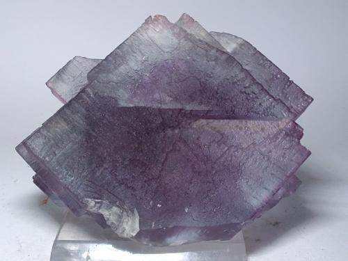 Fluorite<br />Zogno, Brembana Valley, Bergamo Province, Lombardy/Lombardia, Italy<br />121 x 93 mm<br /> (Author: Sante Celiberti)