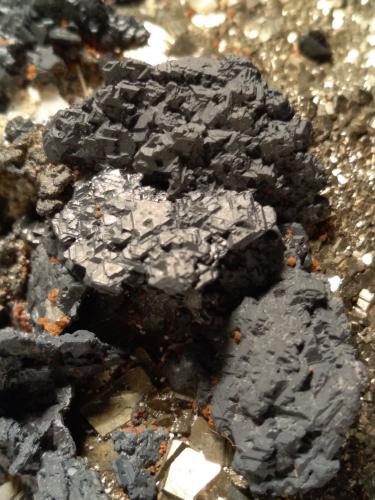 Galena, Esfalerita, Pirita<br />Gavorrano Mine, Gavorrano, Grosseto Province, Tuscany, Italy<br />64 x 50 mm<br /> (Autor: Sante Celiberti)