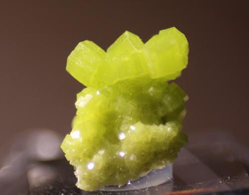 Pyromorphite<br />Mina San Andrés, Espiel, Comarca Valle del Guadiato, Córdoba, Andalucía, España<br />12mm x 14mm x 7mm<br /> (Author: Firmo Espinar)