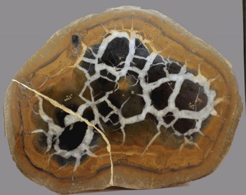Calcita (variedad septaria)<br />Jerada, Provincia Jerada, Región Oriental, Marruecos<br />80 x 62 x 14 mm.<br /> (Autor: José Luis Zamora)