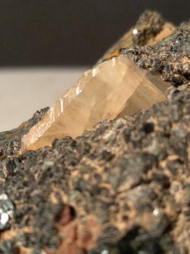 Titanite, Chlorite (Group)<br />Gava Valley, Genova Province, Liguria, Italy<br />75 x 69 mm<br /> (Author: Sante Celiberti)