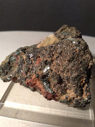 Titanite, Chlorite (Group)<br />Gava Valley, Genova Province, Liguria, Italy<br />75 x 69 mm<br /> (Author: Sante Celiberti)