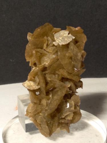 Magnesite (variety ferroan Magnesite)<br />Traversella Mine, Traversella, Chiusella Valley, Canavese District, Metropolitan City of Turin Province, Piedmont (Piemonte), Italy<br />64,6 x 36 mm<br /> (Author: Sante Celiberti)