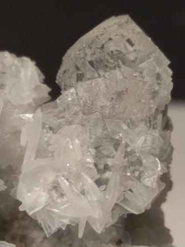 Anhidrita, Fluorita<br />Campiano Mine, Montieri, Grosseto Province, Tuscany, Italy<br />102 x 85 mm<br /> (Autor: Sante Celiberti)