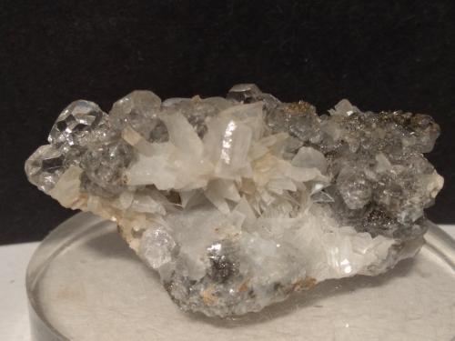 Anhidrita, Fluorita, Pirita<br />Campiano Mine, Montieri, Grosseto Province, Tuscany, Italy<br />56 x 29 mm<br /> (Autor: Sante Celiberti)